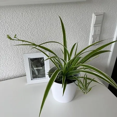 Apartamento Stauffenberg